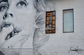 Oude loods van Vander Steven