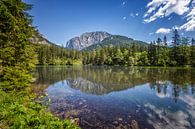 Österreich, Grünensee von Edwin Kooren Miniaturansicht