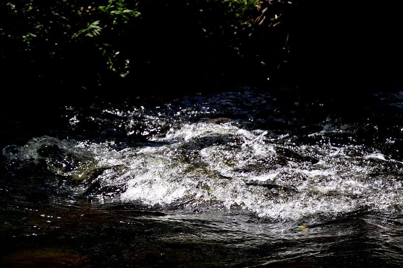 Stromend water van Paul Emons