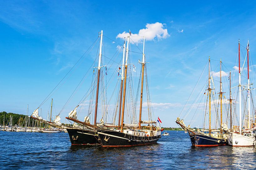 Segelschiffe auf der Warnow während der Hanse Sail in Rostock von Rico Ködder