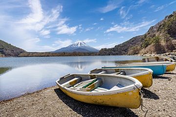Idylle bij het Shoji-meer met de berg Fuji van Melanie Viola