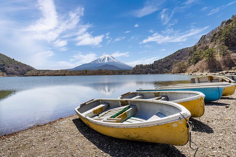 Idyllic Lake Shoji with Mount Fuji by Melanie Viola