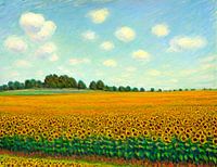 Het zonnebloem veld
