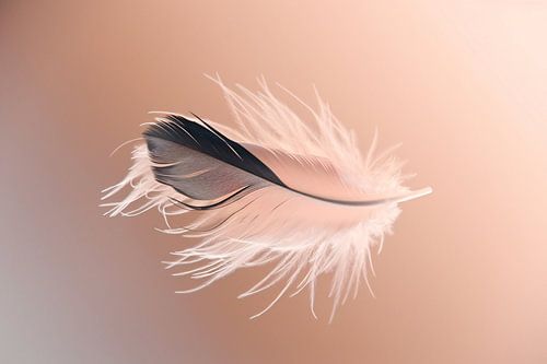 Minimalistische veer in zachte tonen