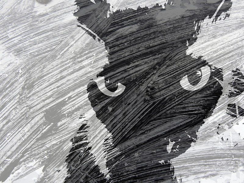Kattenkunst - Storm 1 van MoArt (Maurice Heuts)
