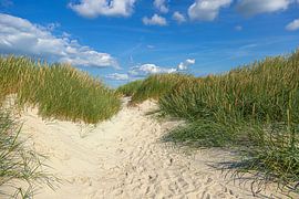 Dunes on Amrum by Thomas Heitz