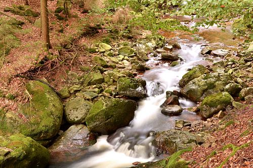 De rivier de Ilse in het Harz Nationaal Park