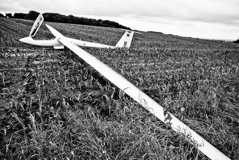 The outlanding by Norbert Sülzner