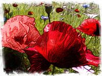 Bloem Klaprozen