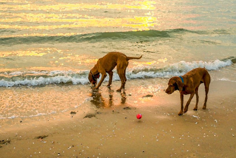 Wanna Play 2 by Alie Ekkelenkamp