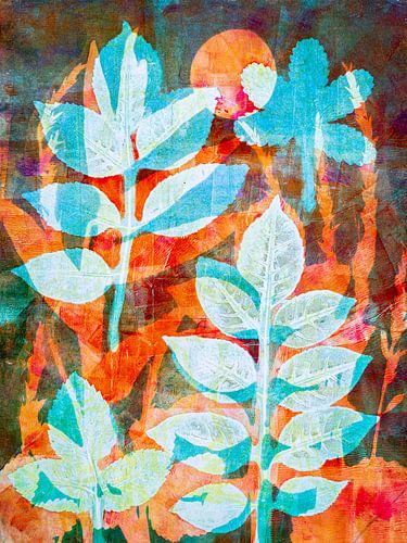 Garden in the evening sun