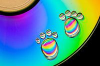 Colourful Water Droplets