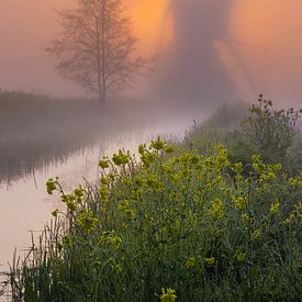 Mühle in den Niederlanden im Nebel von Paul Begijn