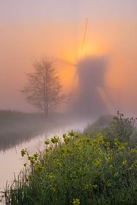 Molen in Nederland in de mist