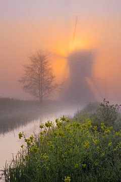 Molen in Nederland in de mist van Paul Begijn