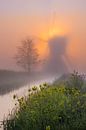 Mühle in den Niederlanden im Nebel von Paul Begijn Miniaturansicht