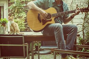 Rote Katze liebt Musik