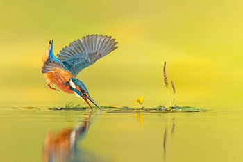 Die ultimative Berührung ...