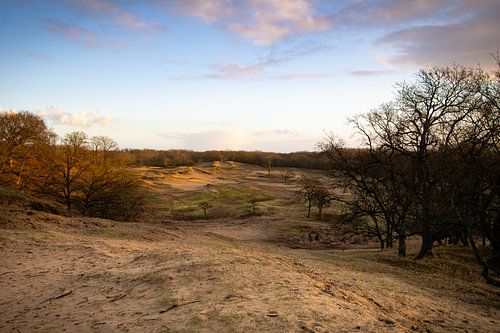 Landscape in the morning sun
