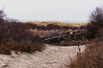 Les dunes du Westduinpark à Scheveningen sur Anne Zwagers