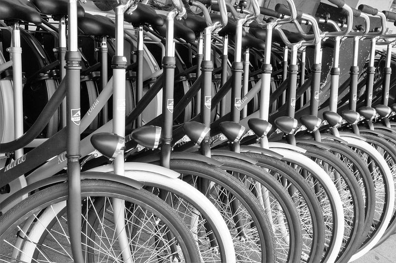 Bicicletas van Fons Hayes