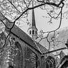 Ancienne église de Jeroen, noir et blanc sur Yanuschka | Fotografie Noordwijk