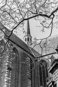 Ancienne église de Jeroen, noir et blanc