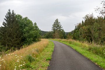 Vennbahn fietsroute van Richard Wareham