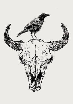 Crow on bull skull van Fineline