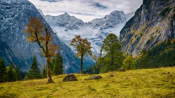 Les dernières feuilles d'automne dans le Risstal sur Denis Feiner