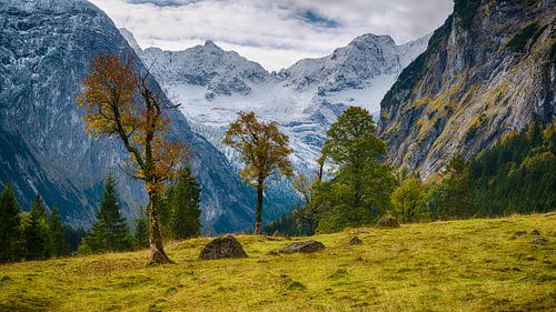 Afgelopen herfst bladeren in het Risstal