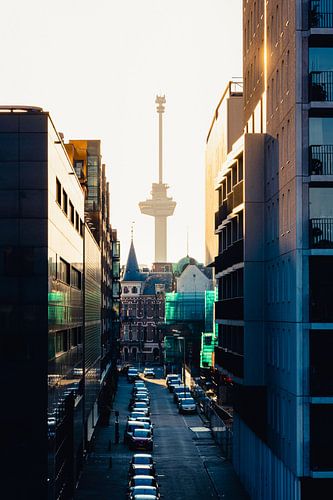 Euromast dans la lumière du soir