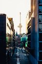 Euromast bij avondlicht (2:3) van Lolke Bergsma thumbnail