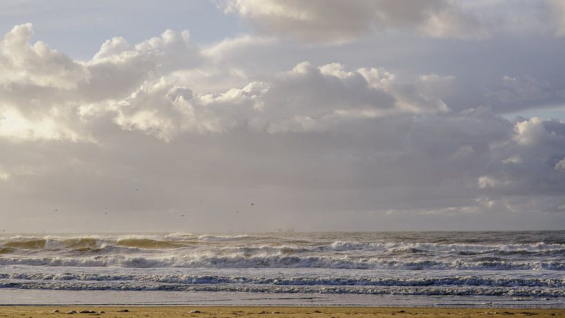 Beach, Sand and Waves by Dirk van Egmond