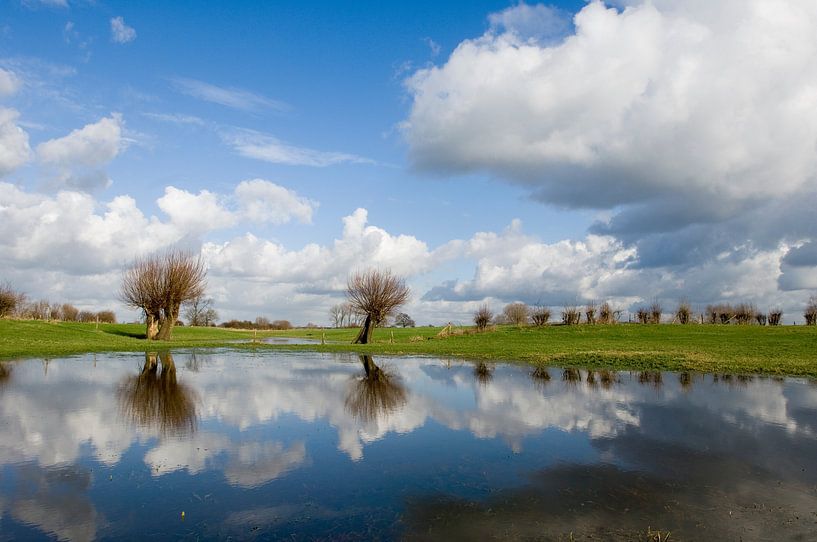 IJssel von Paul van Gaalen, natuurfotograaf