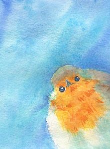 Flauschiges Rotkehlchen sagt hallo