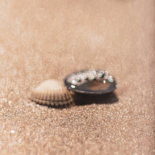 Strand Noordwijk