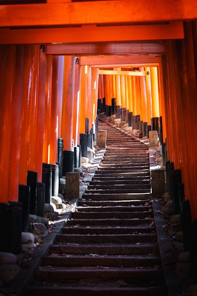 Torii-Tore von Fushimi Inari von Studio Graber