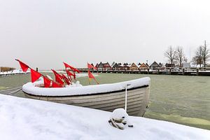 Winter on shore of a lake sur Rico Ködder