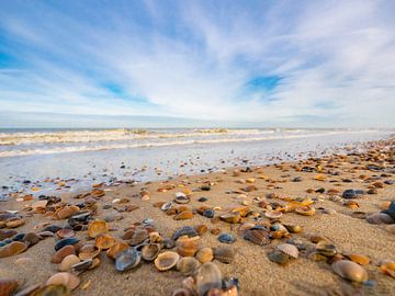 Schelpen zoeken, zen worden van Mark Litjens Art