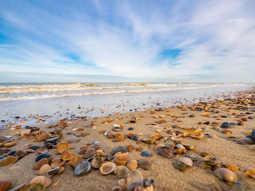 Schelpen zoeken, zen worden