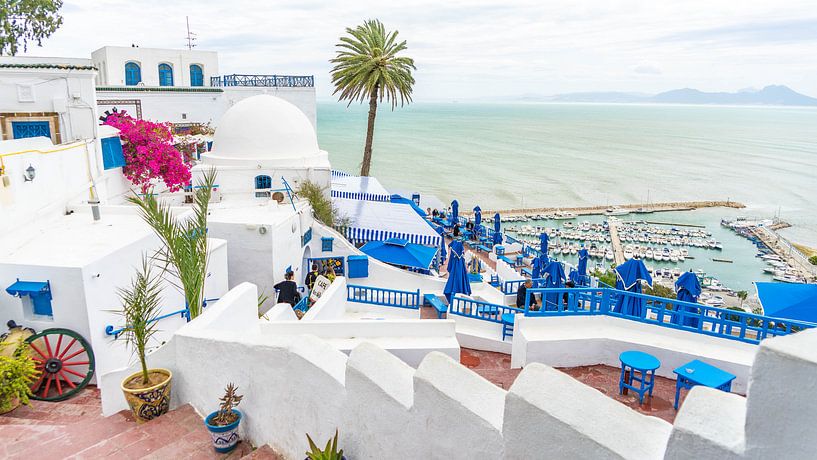 Weiße Häuser in Sidi Bou Said von Jessica Lokker