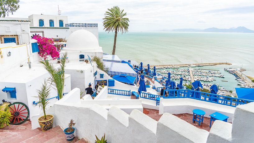 Witte huizen in Sidi Bou Said van Jessica Lokker