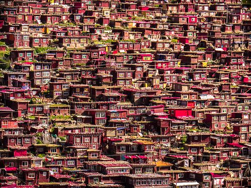 Larung Gar wooden cottages