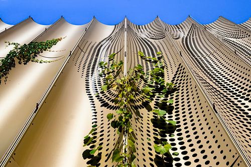 Bladeren door een gouden facade