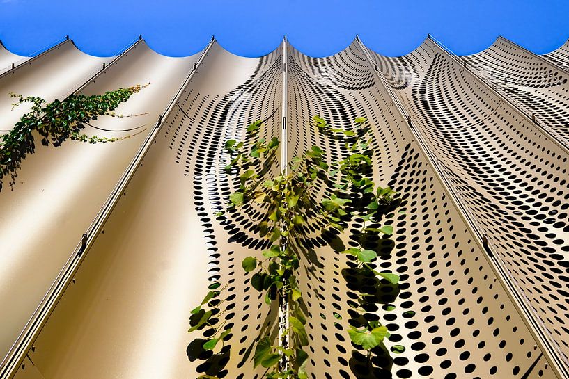 Durch eine goldene Fassade blättern von Maerten Prins