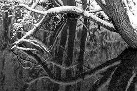 Reflection of a branch in the winter landscape by Flatfield