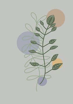 A drawing of botanical plants in bohemian style by Bianca van Dijk