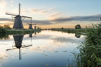 Kinderdijk