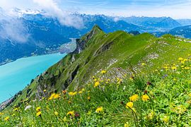 De Augstmatthorn Zwitserland